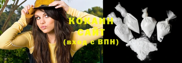 крисы Зеленодольск