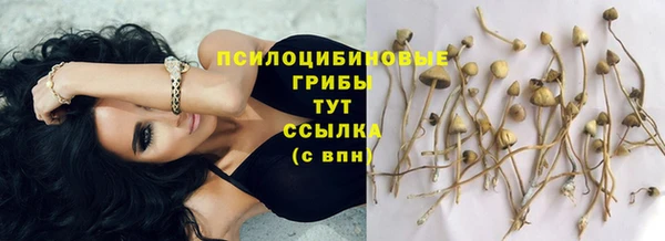 MESCALINE Зерноград