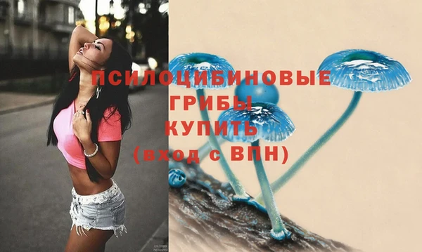 крисы Зеленодольск