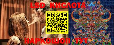 ГАЛЛЮЦИНОГЕННЫЕ ГРИБЫ Кинель