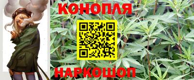 стаф Волжск