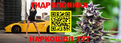 спиды Донской
