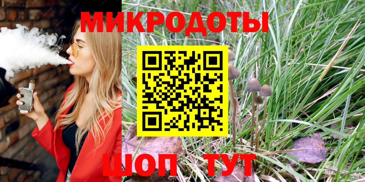 Псилоцибиновые грибы Psilocybe Елец
