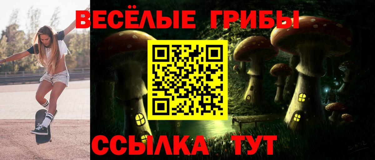 Галлюциногенные грибы Cubensis Елец