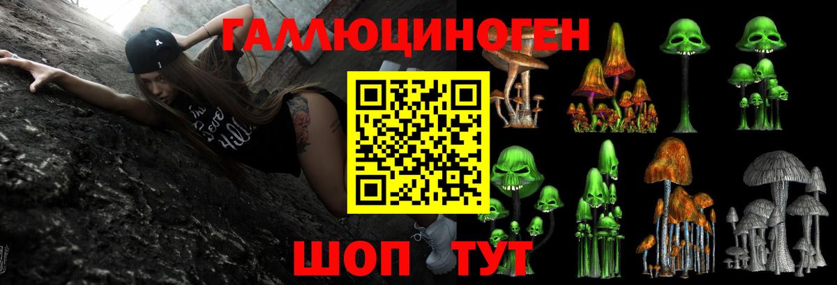 Галлюциногенные грибы ЛСД  Псилоцибиновые грибы Psilocybine cubensis  Елец 