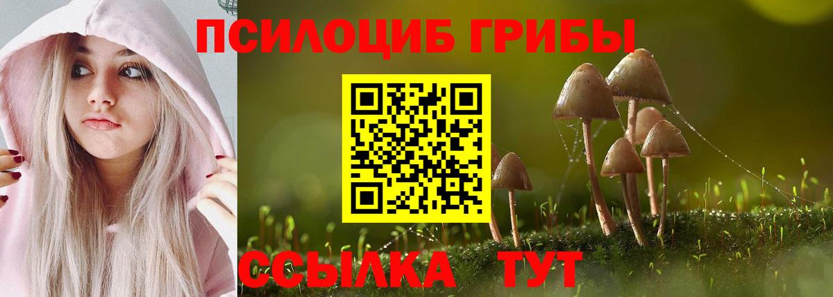 Елец  Псилоцибиновые грибы Psilocybine cubensis  Вход с VPN  Галлюциногенные грибы мицелий 