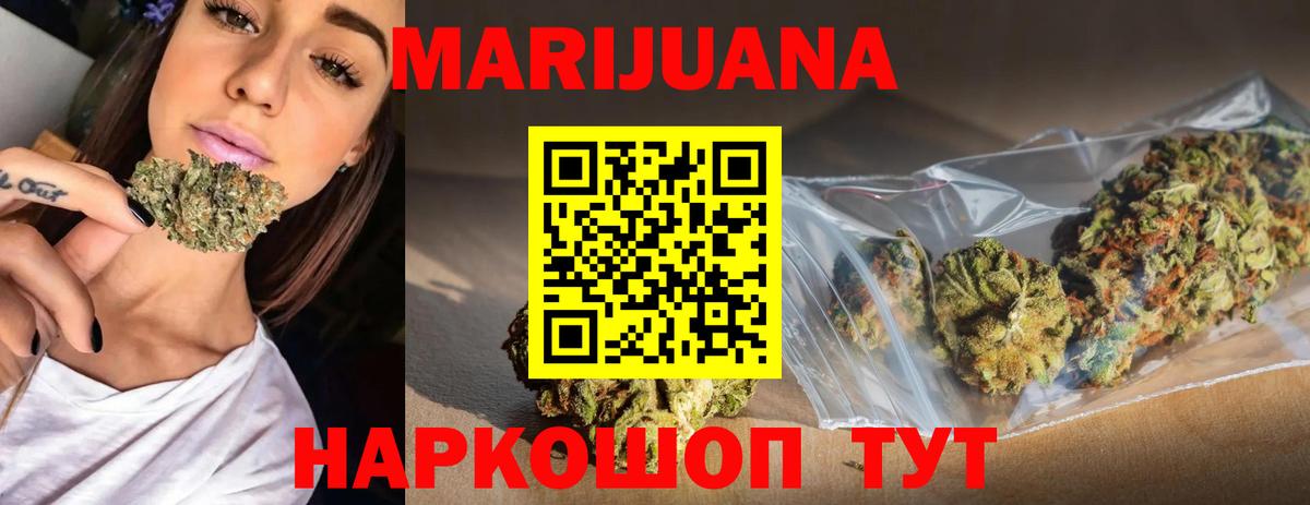 Конопля сатива Елец
